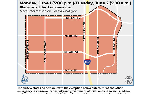 Curfew-June 1-Map (002).jpg